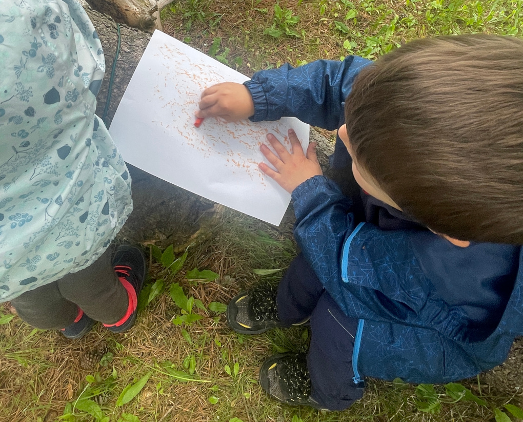 Laboratori in Natura